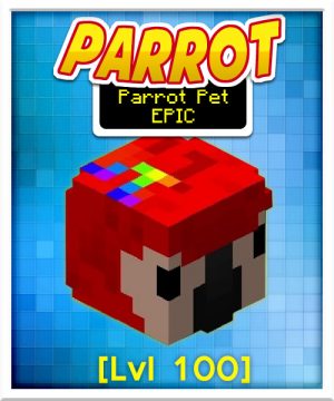 Parrot Pet